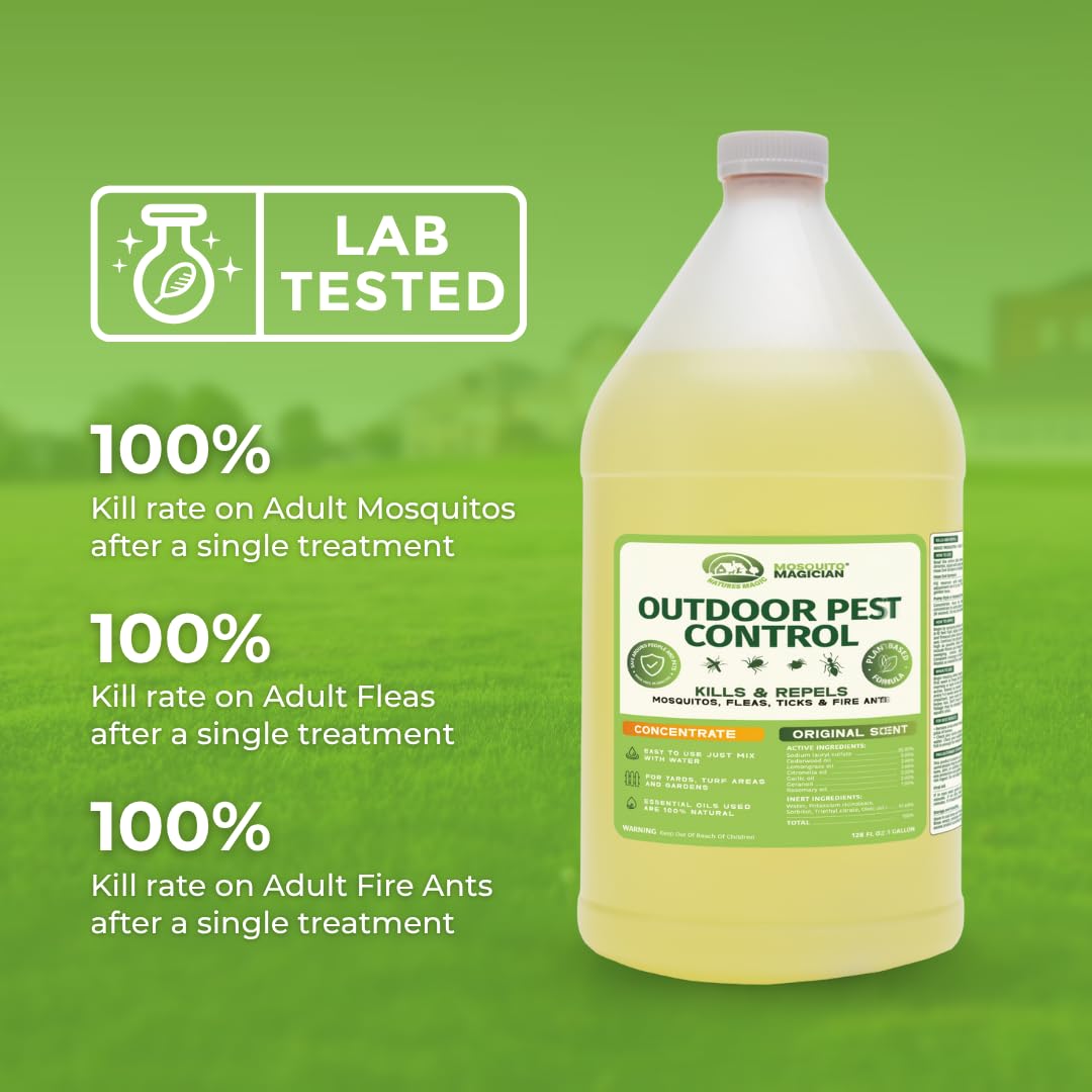 Applying with pump sprayer for even yard coverage.