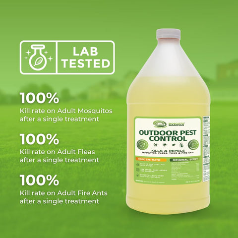 Applying with pump sprayer for even yard coverage.