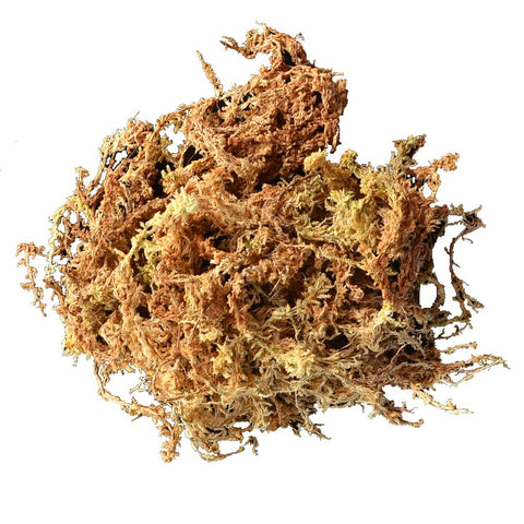 Mosser Lee airlayer moss close-up highlights long-fiber sphagnum for healthy roots