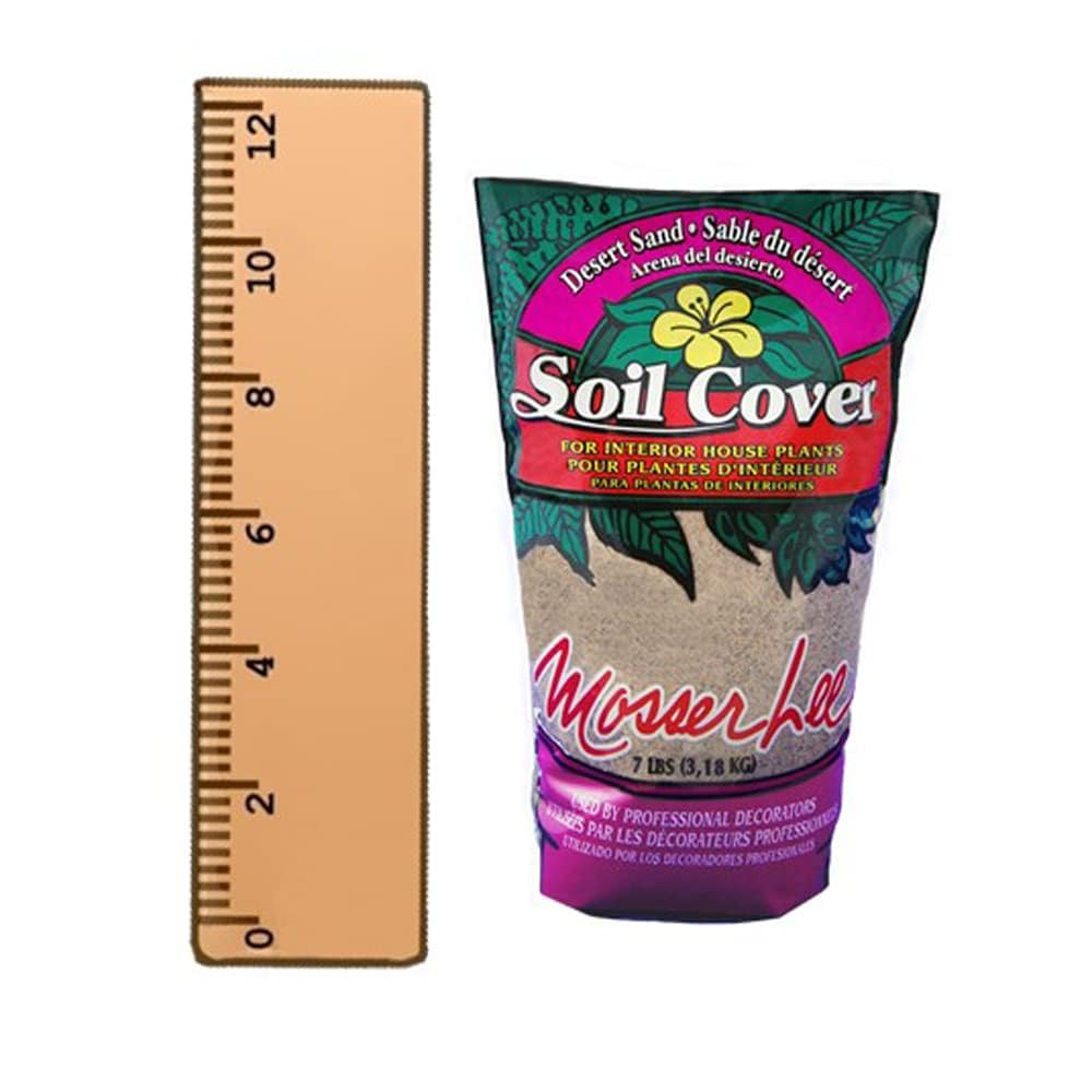 Mosser Lee Desert Sand adds texture to indoor plant arrangements