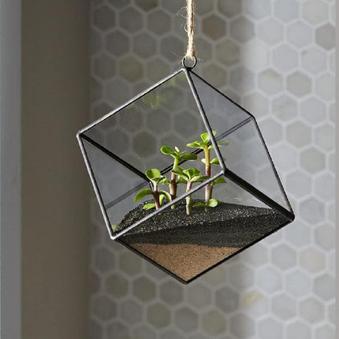 Mosser Lee Desert Sand versatile top-dressing for mixed plant setups