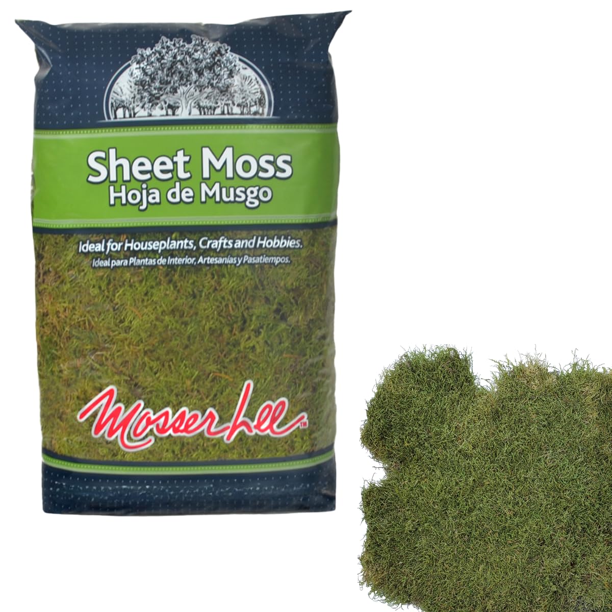 Mosser Lee ML0480 natural green sheet moss in a terrarium adds natural texture