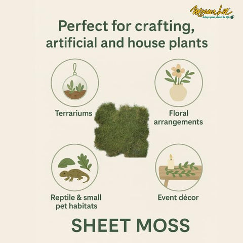 Mosser Lee ML0480 moss sheets over soil enhance moisture retention for plants