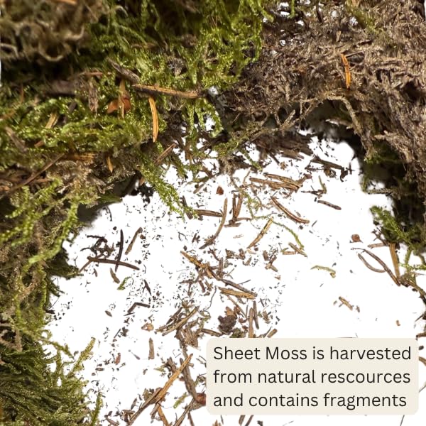 Mosser Lee ML0480 moss sheets used in wreaths bring authentic greenery to crafts