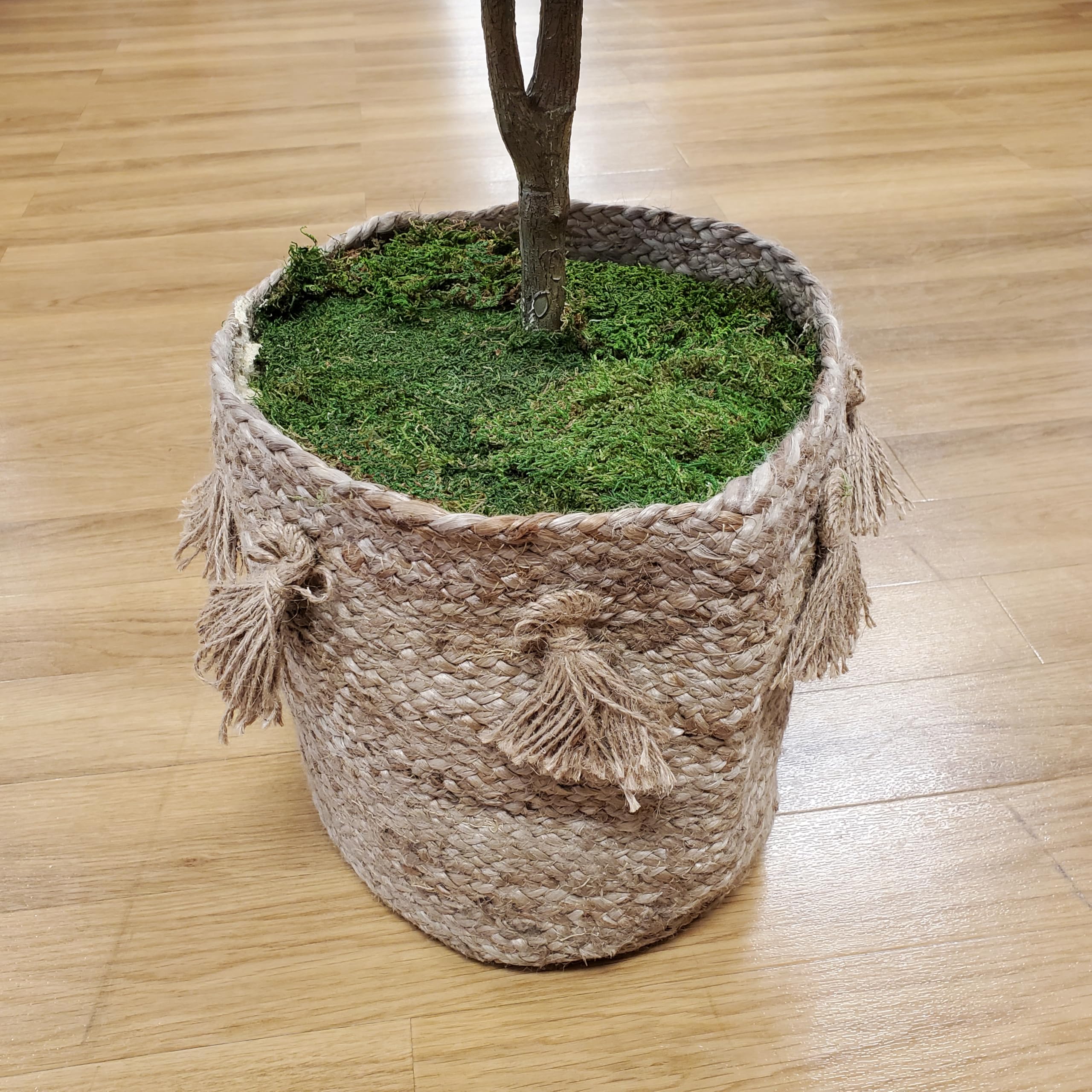 Mosser Lee ML0480 sheet moss suitable for model dioramas and displays
