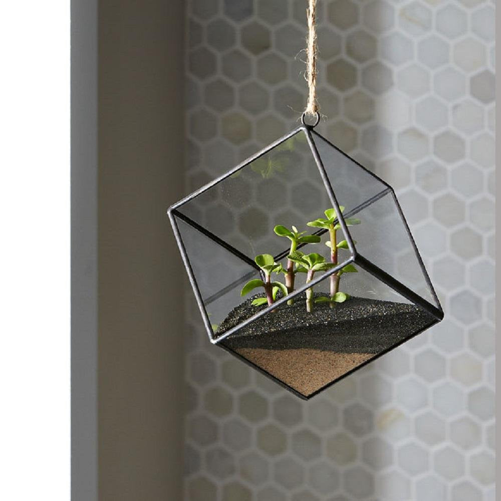 Mosser Lee ML1112 black sand soil cover with succulents for decorative contrast