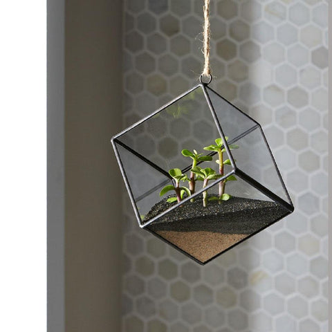 Mosser Lee ML1112 black sand soil cover with succulents for decorative contrast