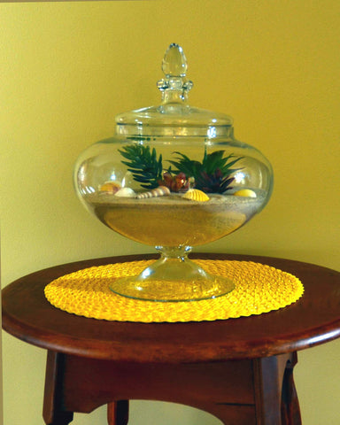 Succulent display accentuated by white sand, enhancing color and depth.
