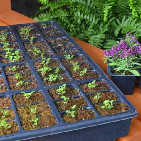 Mosser Lee SucSeed Premium Seed Starter trusted by professionals for reliable results