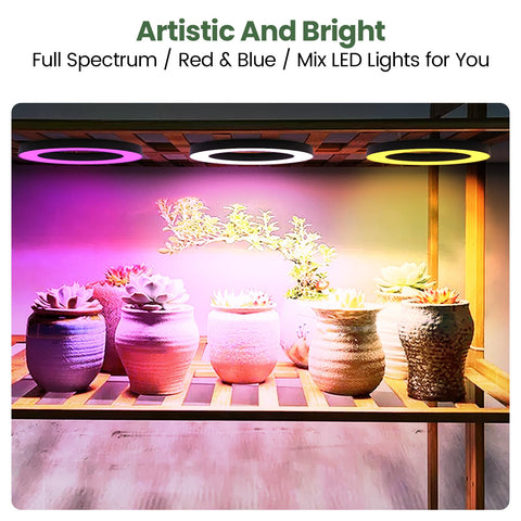 Mosthink grow light full-spectrum panel highlights even light distribution