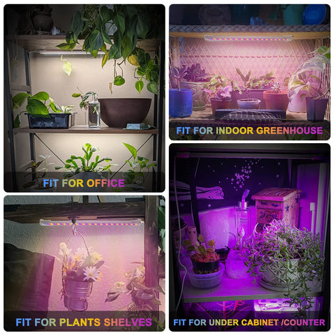 Mosthink IP65-rated lights suitable for seed starting in damp spaces.