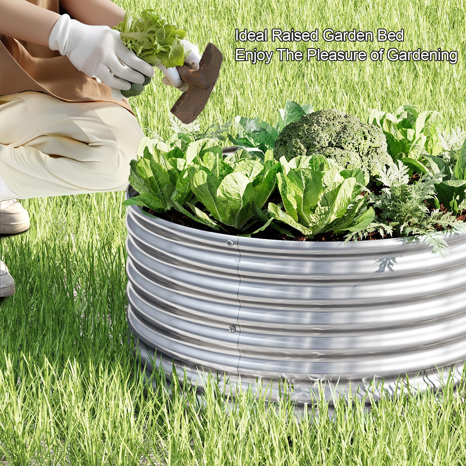 Mostmahes galvanized steel bed enduring sun and rain in outdoor use.