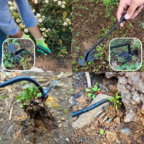 MOTEERLLU handles crabgrass, chickweed, and deep-rooted thistles with ease.