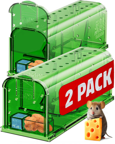 Motel Mouse humane live-trap ready for gentle release.