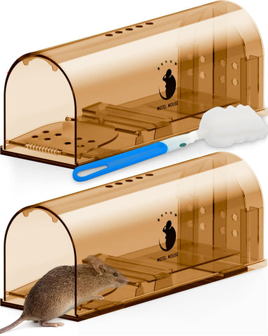 Motel Mouse humane trap front view, compact and safe for homes.