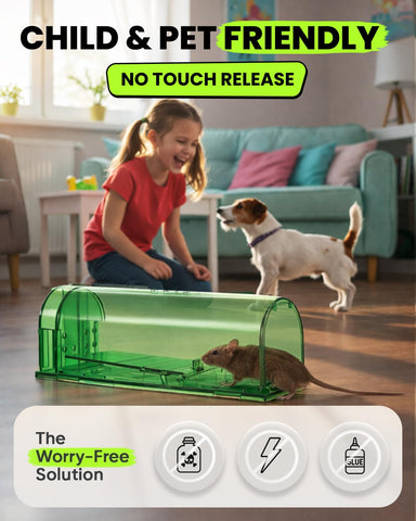 Motel Mouse live-catch trap in use in kitchen for humane control.