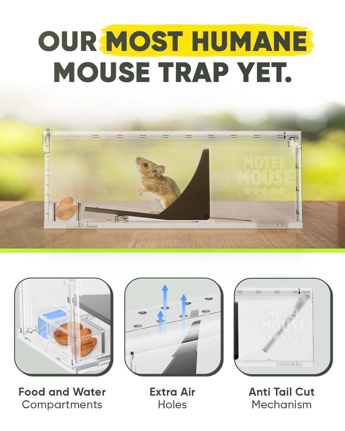 Motel Mouse live-catch trap ready for stress-free pest control at home.