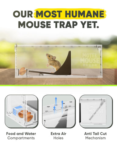 Motel Mouse live-catch trap ready for stress-free pest control at home.