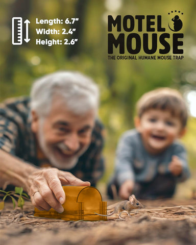 Motel Mouse safe design for kids and pets around the house.
