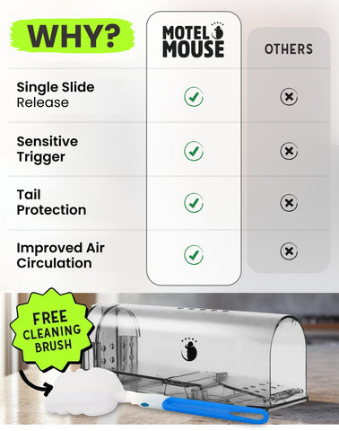 Motel Mouse trap interior highlights wide open space and ventilation.