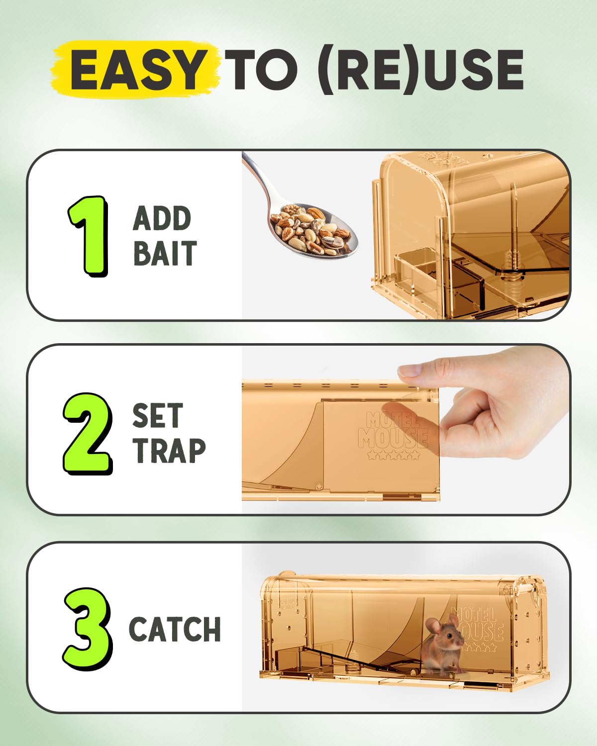 Motel Mouse trap in kitchen corner for safe, humane handling.