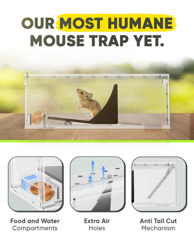 Motel Mouse live-catch trap in use for humane capture and release.