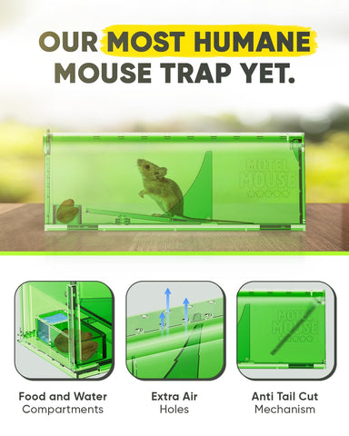 Motel Mouse 2-pack traps for repeat home use.