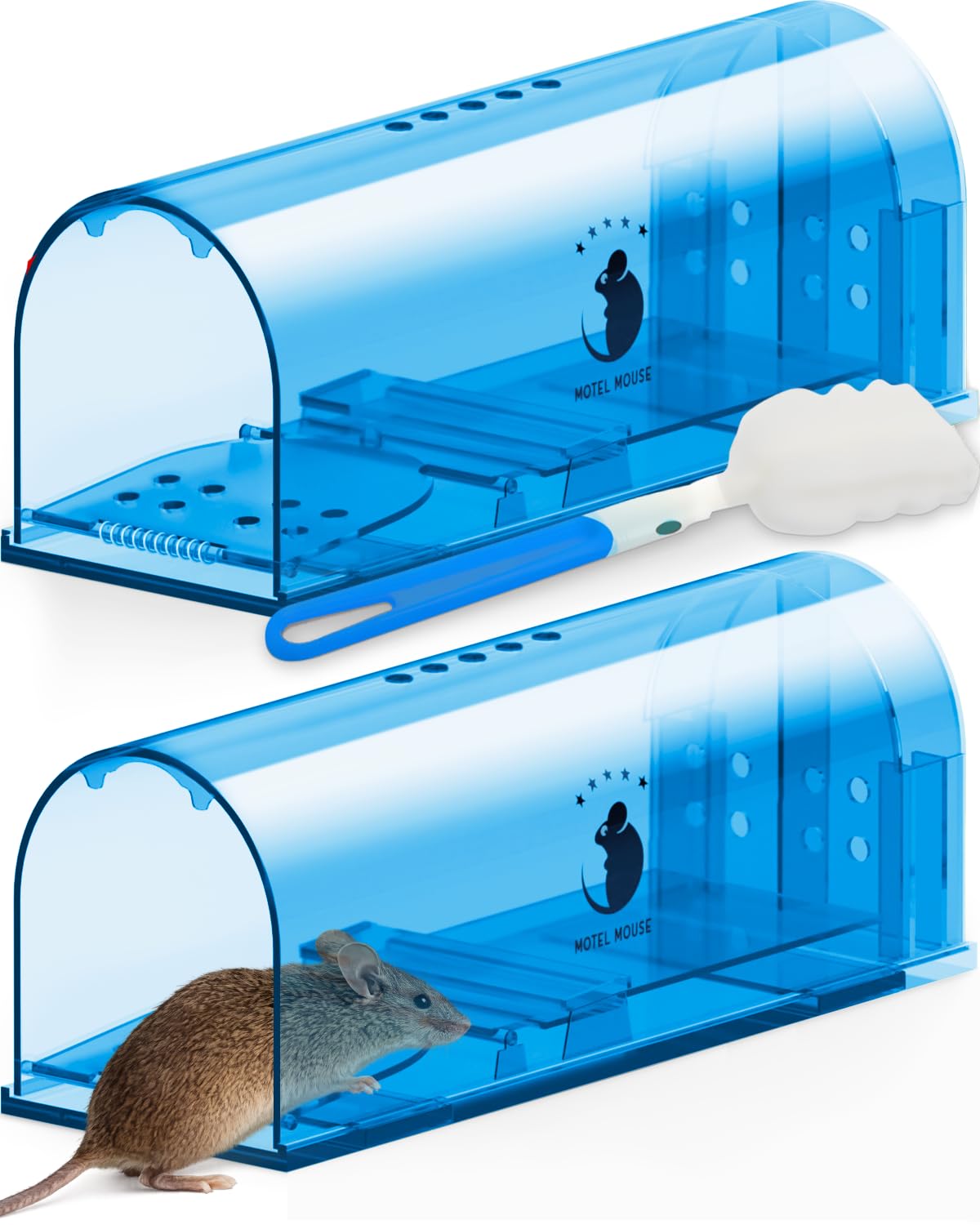Motel Mouse live-trap front view highlighting humane design for stress-free release.