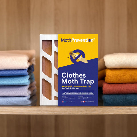Traps tucked in a closet shelf for long-lasting protection