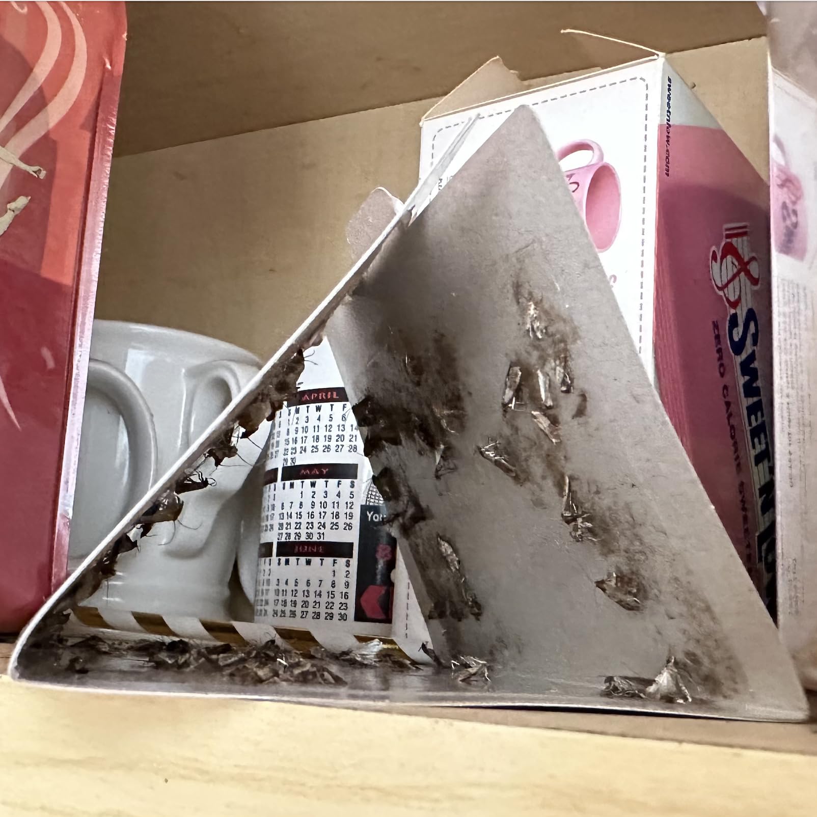 MothPrevention kitchen-moth-trap-in-use demonstrates easy shelf placement.