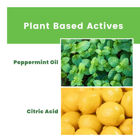 MotionNOVA essential oils blend scent releases to repel rodents.