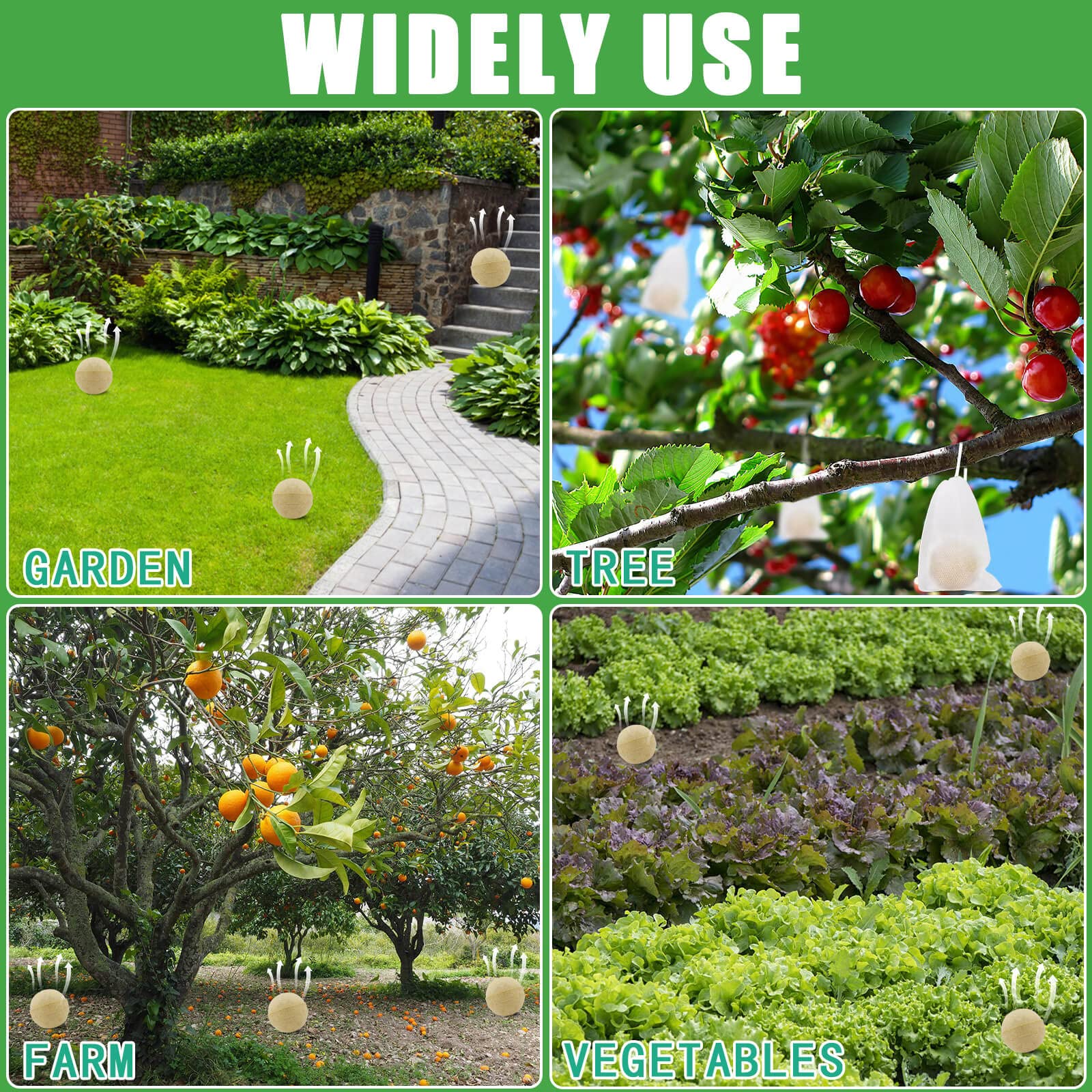 Motrapso 12pack garden setup demonstrates consistent protection.