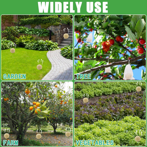 Motrapso 12pack garden setup demonstrates consistent protection.