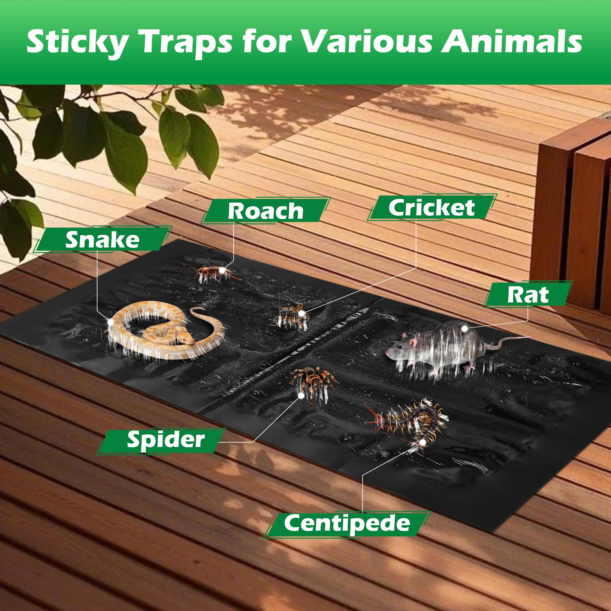 Motrapso 26 in by 11 in sticky trap provides large coverage.