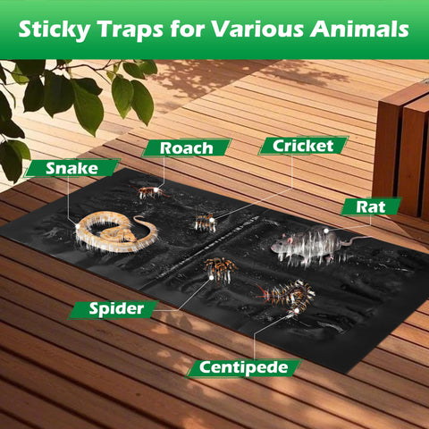 Motrapso 26 in by 11 in sticky trap provides large coverage.