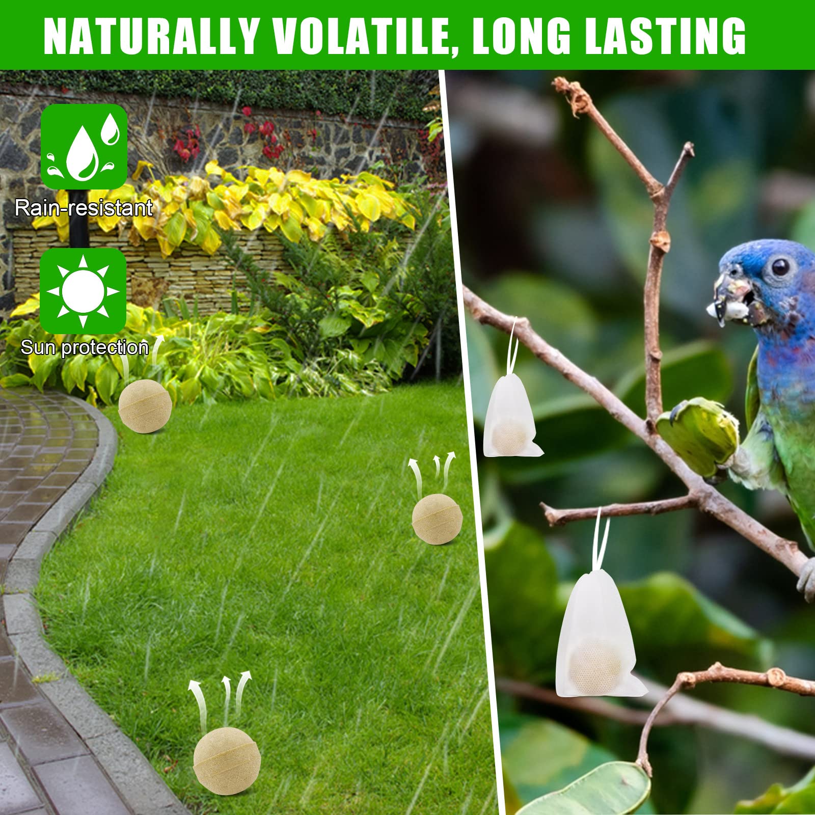 Motrapso bird feeder area protection illustrating yard friendly solution
