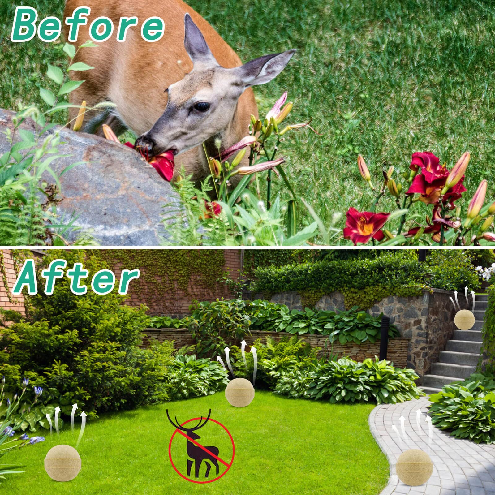 Motrapso deer deterrent bottle protects flowers without harming wildlife.