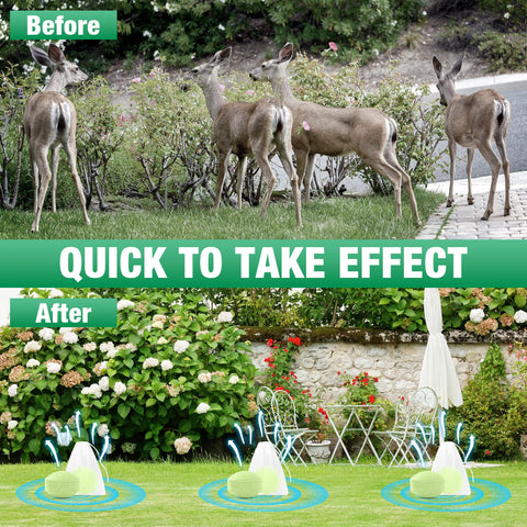 Motrapso peppermint-ball hanging setup deters deer near fruit trees