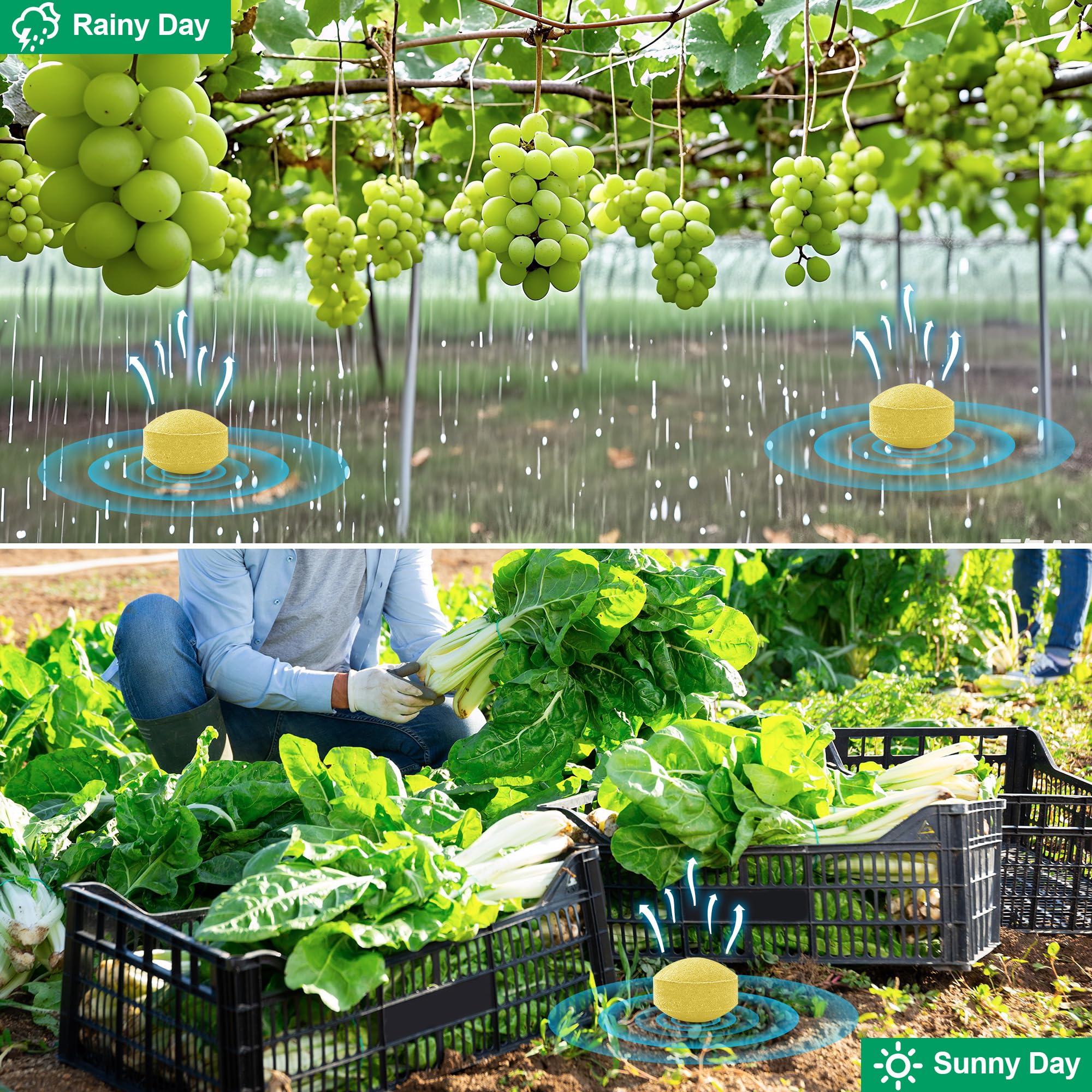 Motrapso long-lasting protection up to 60-90 days in all weather