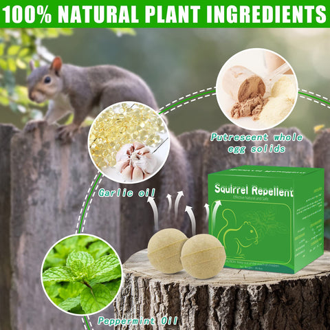 Motrapso outdoor garden application demonstrating convenient use around plants