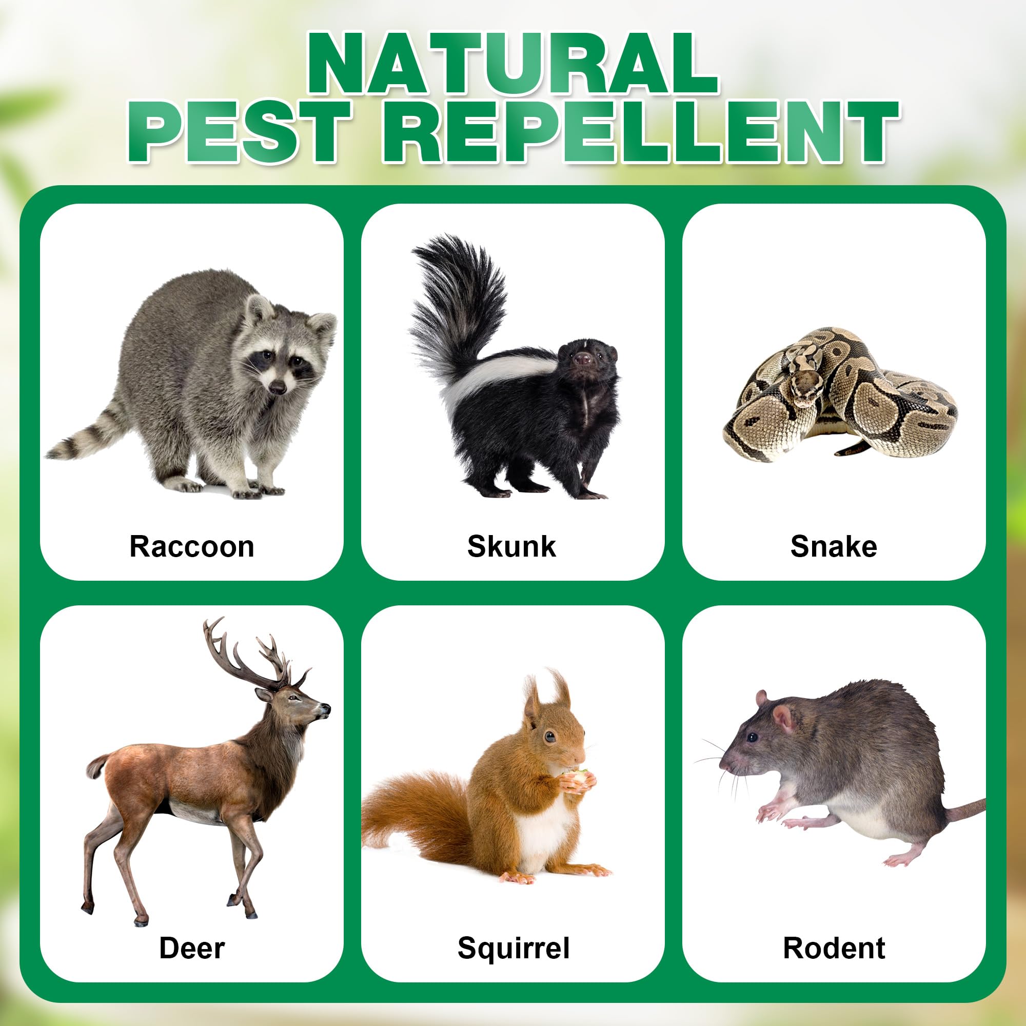 Motrapso outdoor yard application scene showing quick deterrence.