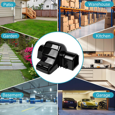 Motrapso-packaging includes four traps for comprehensive coverage.