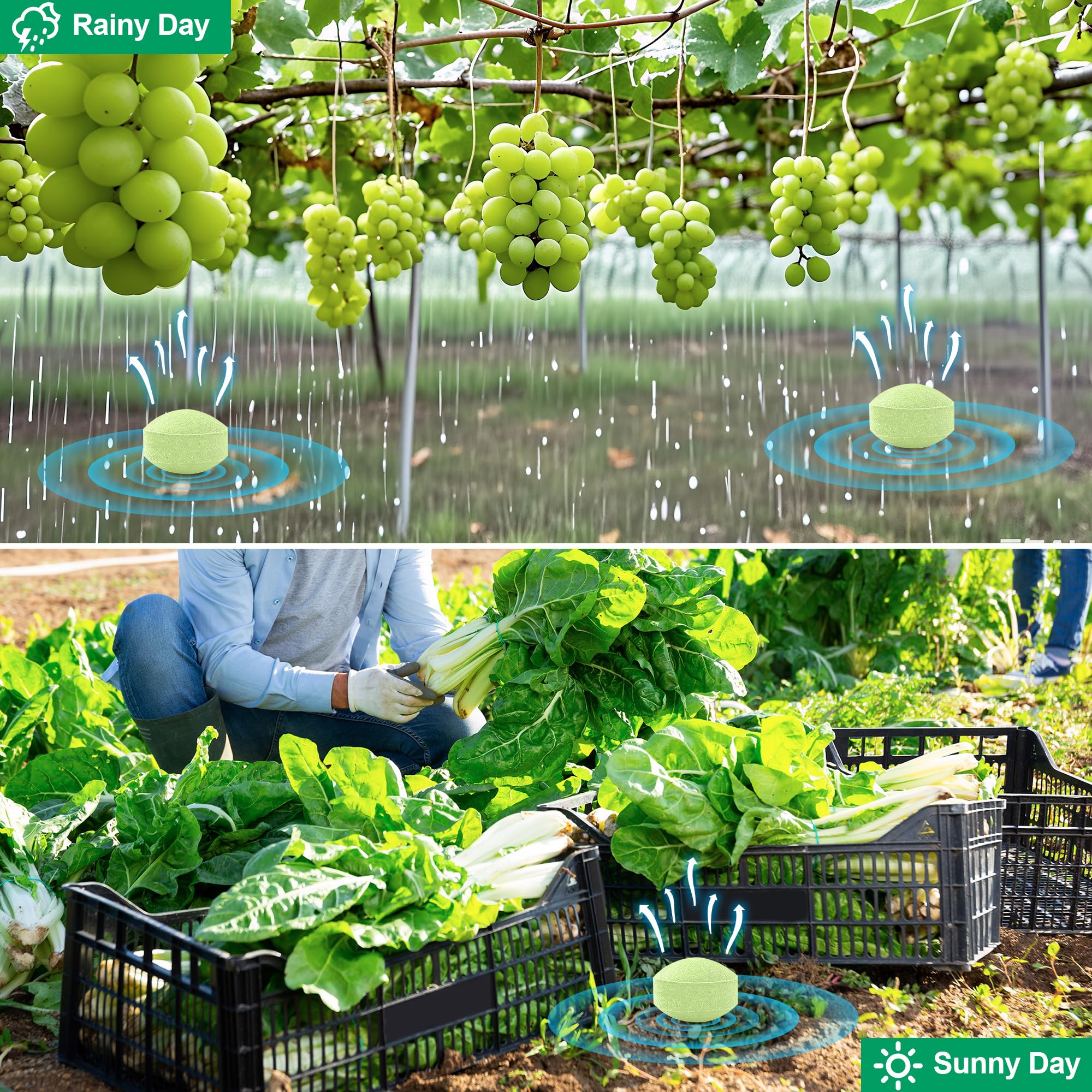 Motrapso plant-based active ingredients offer humane deterrence for pets.