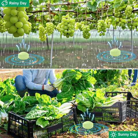 Motrapso plant-based active ingredients offer humane deterrence for pets.