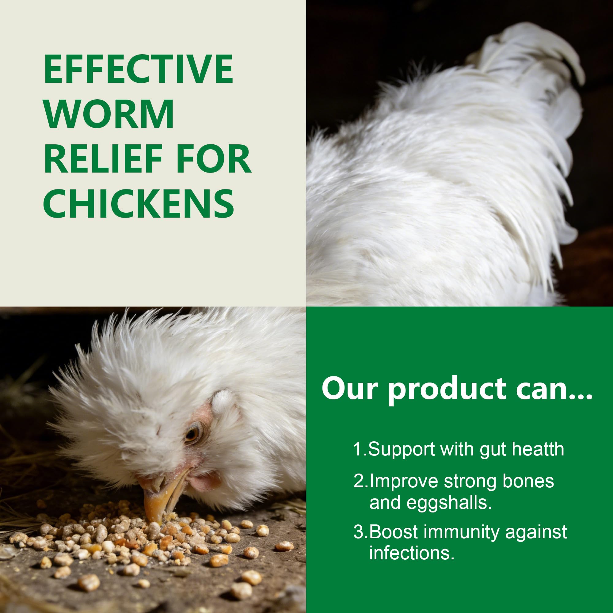 Powder blending into poultry feed with Motrapso