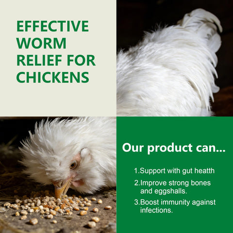 Powder blending into poultry feed with Motrapso
