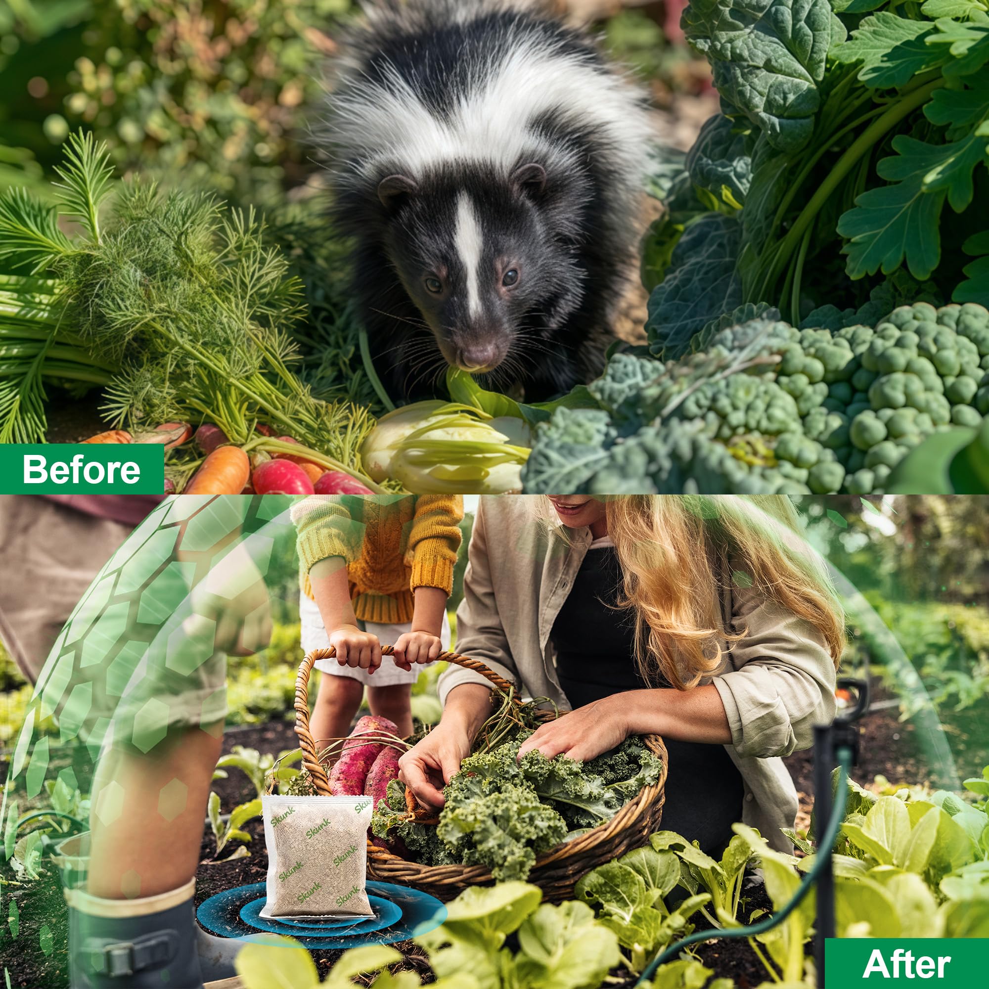 Motrapso raccoon pouch shown as garden protector near vegetables.