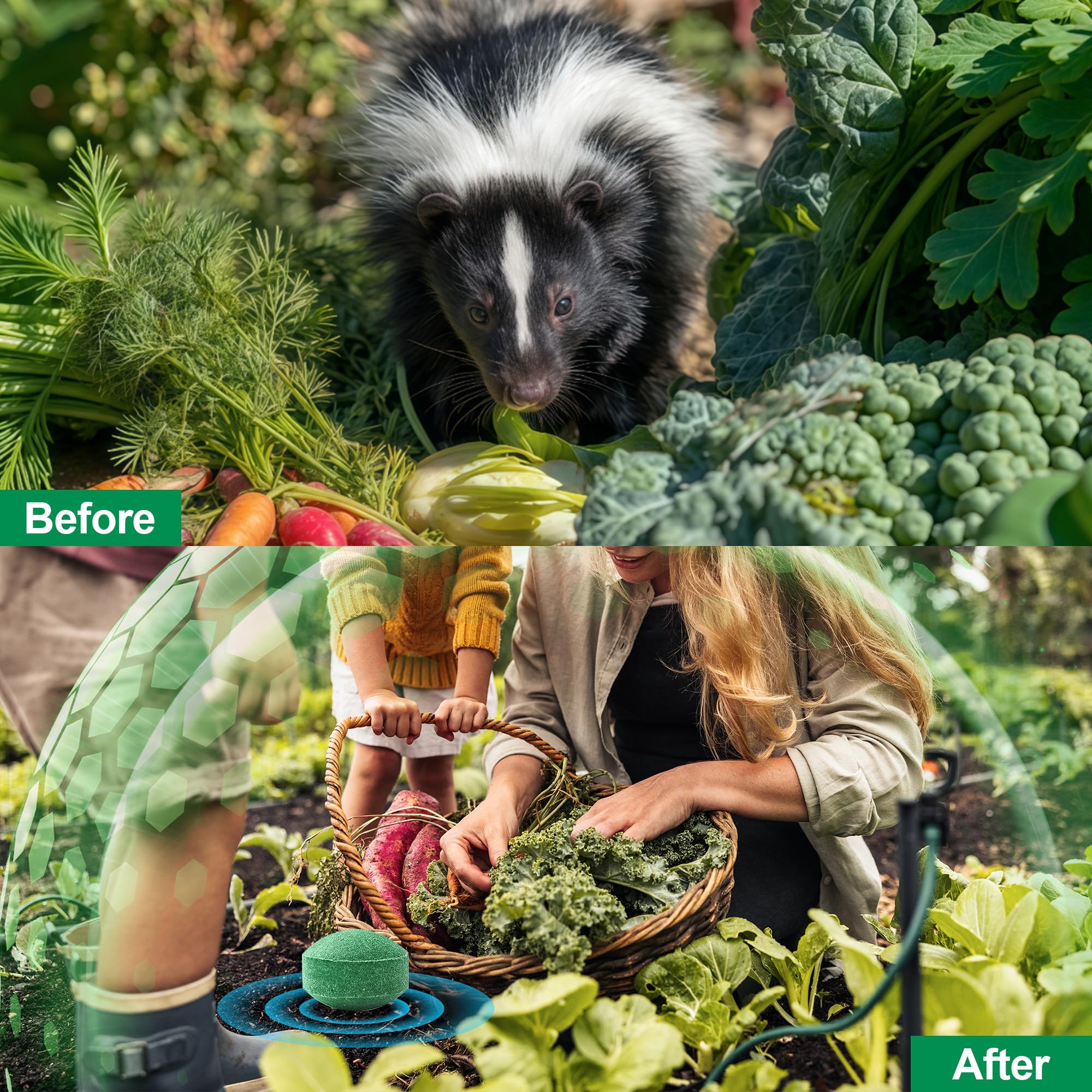 Motrapso raccoon repellent plant-based ingredients deter wildlife safely