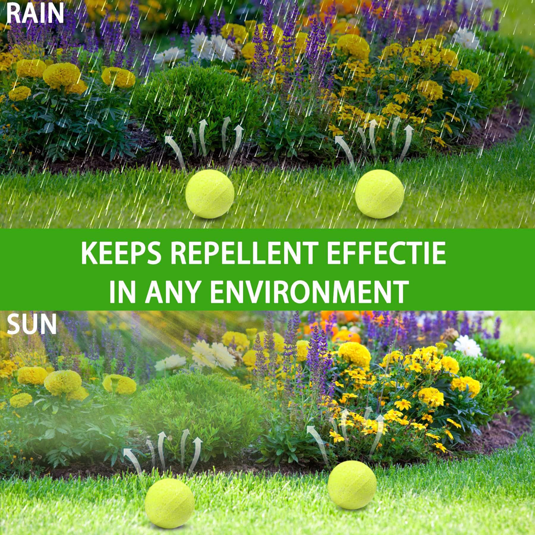 Motrapso snake repellent balls back view packaging and ingredients
