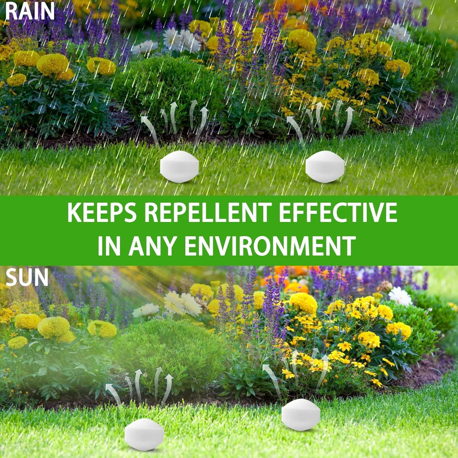 Motrapso repellent in garden patch protecting beds and plants.